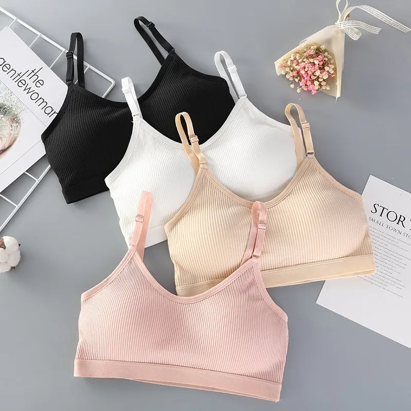 Women’s Padded Wireless Tube Top Bra – Seamless Strapless Comfort | Julietta Collection