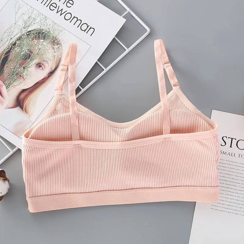 Women’s Padded Wireless Tube Top Bra – Seamless Strapless Comfort | Julietta Collection