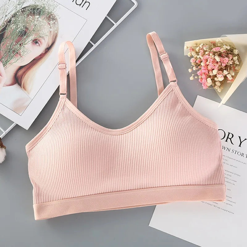 Women’s Padded Wireless Tube Top Bra – Seamless Strapless Comfort | Julietta Collection